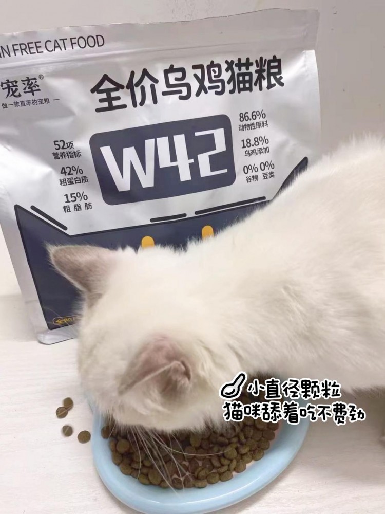 为什么曼基康猫逐渐退出宠物圈这几点很遭人嫌弃