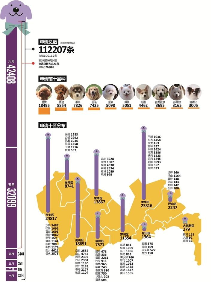 深圳人养犬地图&最受欢迎狗狗品种Top10