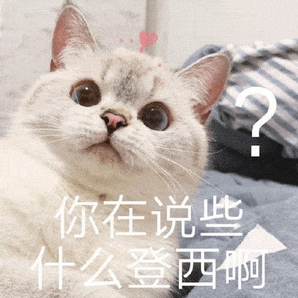 猫咪的这几种行为，原来是它在“道歉”，很人多都错怪它了！