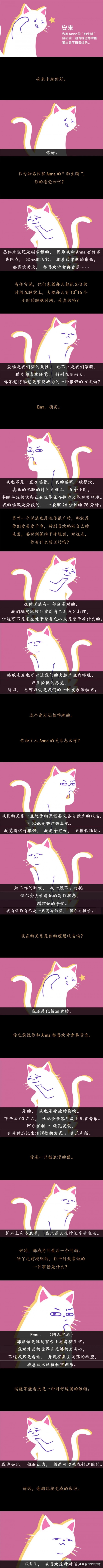 猫咪是怎样度过一天的？我采访了一只家猫和一只野猫